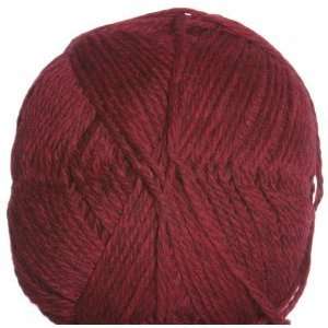   Pride Worsted Superwash Yarn   84   Shanes Red Arts, Crafts & Sewing