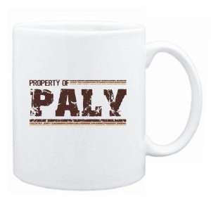  New  Property Of Paly Retro  Mug Name