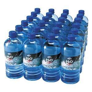   H2O 2go Bottled 100% Pure Natural Spring Water 20 oz: Office Products