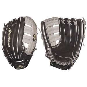   Professional Series Outfield Baseball Glove: Sports & Outdoors