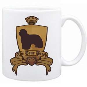    New  Bearded Collie   The True Breed  Mug Dog: Home & Kitchen