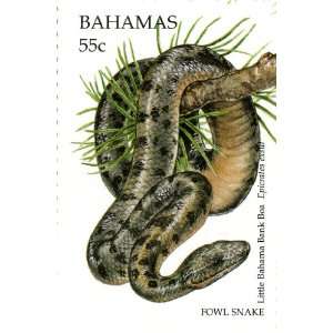  Bahamas Fowl Snake Boa Stamp Print (Reproduction) 6 X 9 