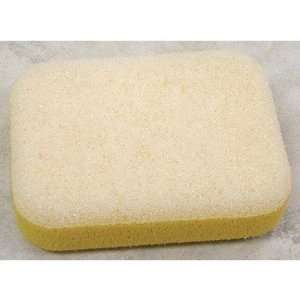  Grout Scrub Sponge