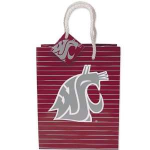  NCAA Small Gift Bag: Sports & Outdoors