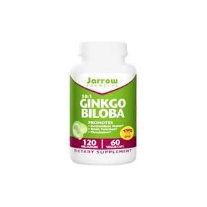 Ginkgo Biloba 120 mg   Promotes Antioxidant Status, Circulation, 60 