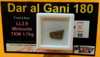 DaG 180 LL3.9 Chondrule Rich Magnet Libya Meteorite Men Steve Ltd to 