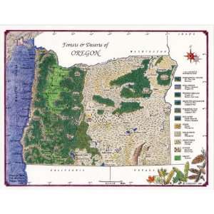  Oregon Illustrated Wall Map 
