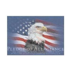  Pledge Of Allegiance    Print: Home & Kitchen