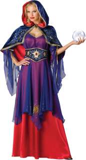 Sexy Sorceress Witch Fortune Teller Halloween Costume 843269017217 