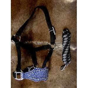  HALTER BRONC NYLON NOSE BAND TACK BLING BLUE Everything 