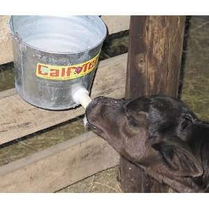  Calf teria Pail   Complete Pail Automotive