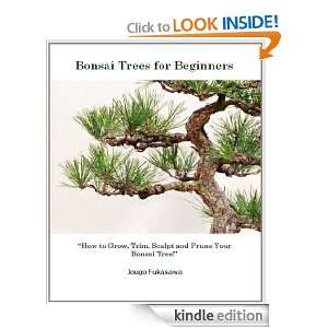 Bonsai Trees for Beginners How to Grow, Trim, Sculpt and Prune Your 
