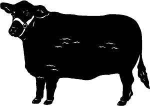 Black Angus Cattle/Cow/Bull Sticker/Decal  
