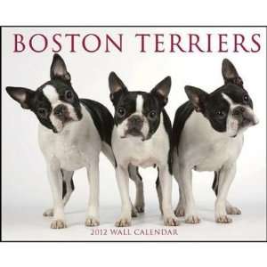  Boston Terriers 2012 Wall Calendar: Office Products