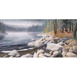  Misty Waters Poster Print
