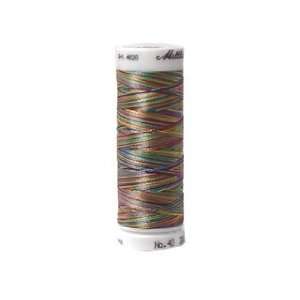  Mettler PolySheen Embroidery Thread Size 40 200M 