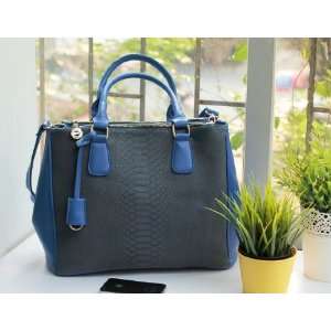   Tote Bag Purse Satchel Doctor Bag Bule Double Handle Shouler: Beauty