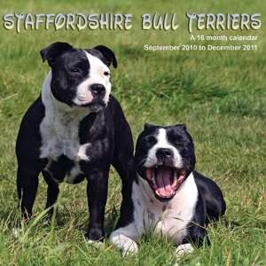  2011 Dog Calendars: Staffordshire Bull Terriers   16 Month 