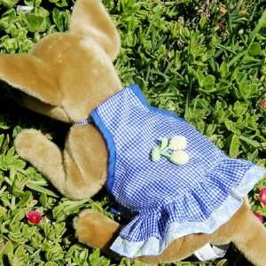 Blue Cherry Skirt Dress Outfit Pet Appareal dog clothes APPAREL 