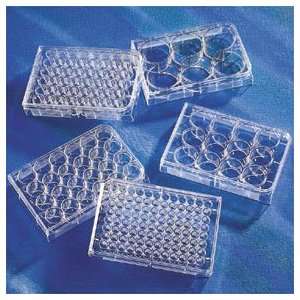  Corning Costar Cell Culture Plates. 6 well. Flat Well 