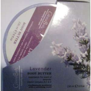  Celestial Body Heavenly Skin Care Lavender Scent 8 Oz (2 