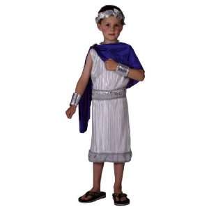    Pams Childrens Boy Caesar Costume   Medium Size Toys & Games