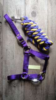 Mini Horse~Donkey Multi Adjustable PURPLE Halter & lead  