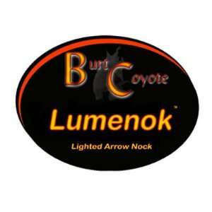  Nock Lumenok GoldTip Green Ea: Sports & Outdoors