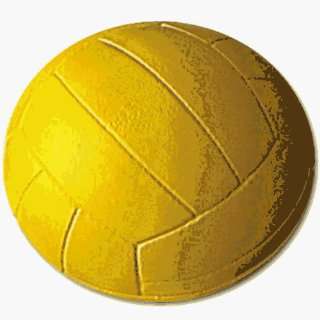 Physical Education Balls Sport specific Volleyball Training   Us games 
