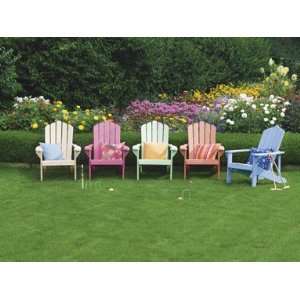  Living Accents Adirondack Chair: Home Improvement