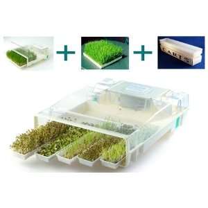  EasyGreen MikroFarm Sprouter + Timer + 1 Large Tray + 5 