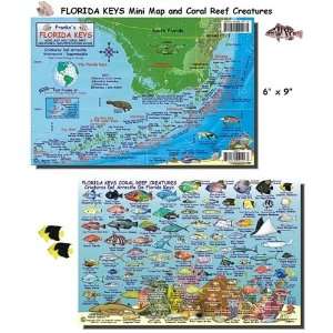  Florida Keys Reef Creatures Fish ID