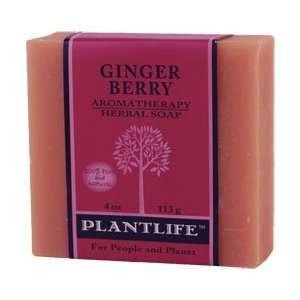  Ginger Berry Aromatherapy Herbal Soap   4 oz Beauty