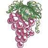 Viking 1+ Embroidery Machine Card FRUITS & BLOSSOMS  