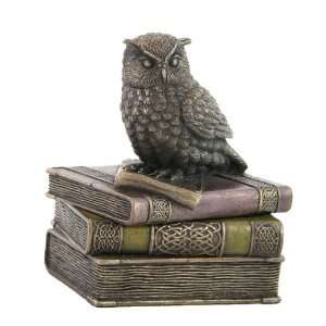  Collared Scops Owl Perching on Books Trinket Box