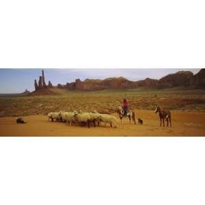  Shepherd Herding a Flock of Sheep, Monument Valley Tribal 