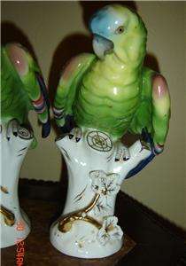 ANTIQUE Portuguese Vista Alegre Porcelain PAIR Parrots  