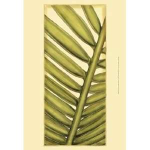 Custom Graphic Palms V by Jennifer Goldberger 13x19