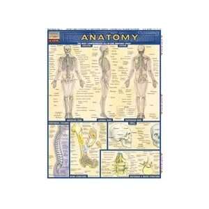 Anatomy Quick Study Guide by BarCharts:  Industrial 