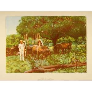  1899 Oxen Cart Peasant Man Spanish American War Print 