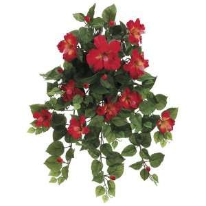  26 Hibiscus Hanging Bush x13 w/216 Lvs. Tomato Red (Pack 