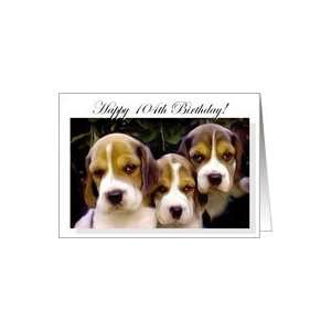  Happy 104th Birthday Beagle Puppies Card Toys & Games