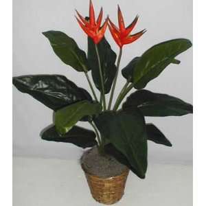  42 Artificial Heliconia Flower Plant: Home & Kitchen