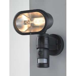  300W, 4 in 1 Security system: Motion activated light+video camera 