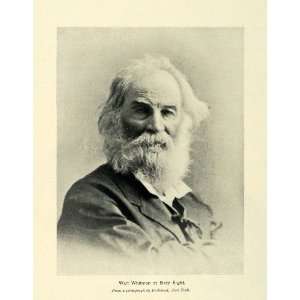  1895 Print Walt Whitman Portrait American Free Verse Poet 