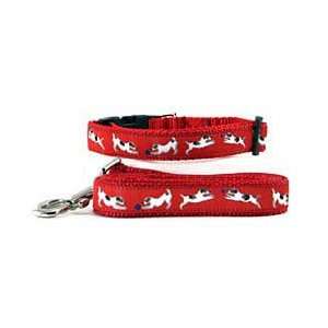 Jack Russell Terrier Collar & Leash:  Pet Supplies