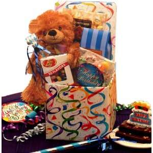 Surprise Teddy Bear Care Package:  Grocery & Gourmet Food
