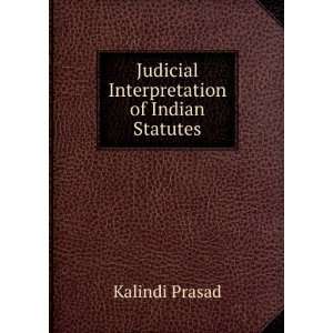 Judicial Interpretation of Indian Statutes Kalindi Prasad Books