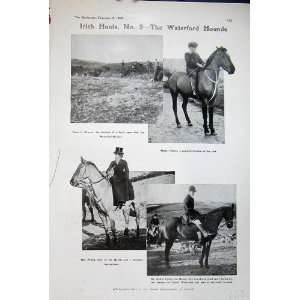   1906 Irish Hunting Waterford Hounds Dogs Horses Sport