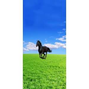    Equine Couture Meadow Print Knee High Socks: Sports & Outdoors